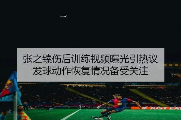 张之臻伤后训练视频曝光引热议 发球动作恢复情况备受关注